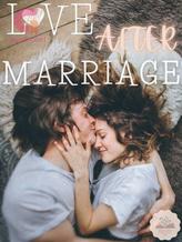 Novel Love After Marriage by Velvet