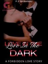 Novel Love In The Dark by PS Shibambu