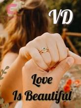 Novel Love Is Beautiful by VD