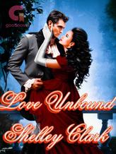 Novel Love Unbound by Shelley Gibson Clark