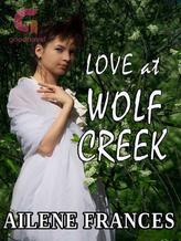 Novel Love at Wolf Creek by Eileen Sheehan, Ailene Frances, E.F. Sheehan