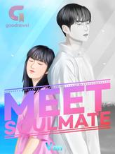 Novel MEET SOULMATE : Bos Galak Mengejar Cinta by Just Van