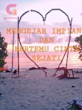 Novel MENGEJAR IMPIAN DAN BERTEMU CINTA SEJATI by Sermiati mdk