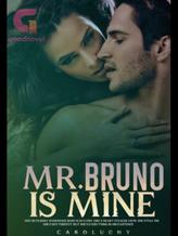 Novel MR BRUNO IS MINE by Caroluchy