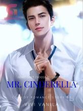 Novel MR. CINDERELLA (INDONESIA) by vivi vanila