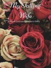 Novel MY FALLING WIFE by Diana Ara Ybalez