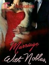 Novel Marriage With Nobles by Min Ri