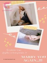 Novel Marry you again !! by Areum Lee