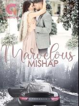 Novel Marvelous Mishap by Vashauna