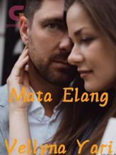 Novel Mata Elang by Vellyna Yari