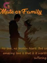 Novel Mate or Family by Ncube