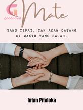 Novel Mate by Intan Pitaloka