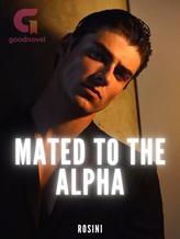 Novel Mated To The Alpha by Rachel