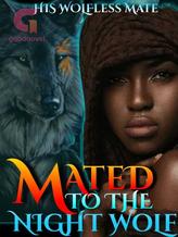 Novel Mated to the Night Wolf by Mckayla Chinyama Queen