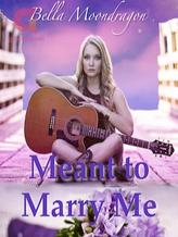 Novel Meant to Marry Me by Bella Moondragon