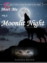 Novel Meet Me on a Moonlit Night by Tatiana Hatun