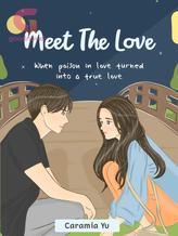 Novel Meet The Love by Caramia Yu