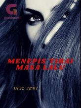 Novel Menepis Tirai Masa Lalu by Diaz Arwi