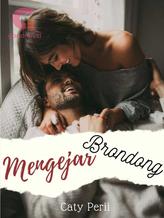 Novel Mengejar Brondong by Caty Perii