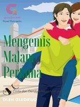 Novel Mengemis Malam Pertama by Gleoriud