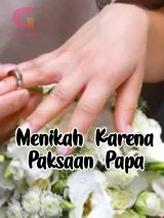 Novel Menikah Karena Papa by Akaknis