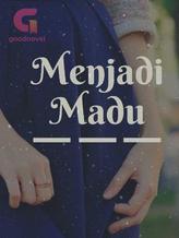 Novel Menjadi Madu by Anis _Mo