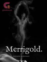 Novel MerryGold by Antonette Liebermann