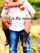 Novel Met in the meadow by Shawna Elmore