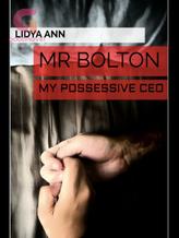 Novel Mr Bolton: My Possessive CEO by Lidya Ann