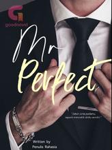 Novel Mr. Perfect by Penulis Rahasia