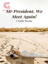 Novel Mr President, We Meet Again! by Cradle Reads