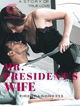 Novel Mr. President’s Wife (English) by Firedragon0315