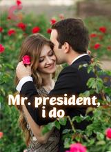 Novel Mr. president, I do by Happy