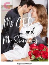 Novel Ms. CEO and Mr. Secretary by Snow writer