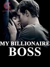 Novel My Billionaire Boss by Little Fish