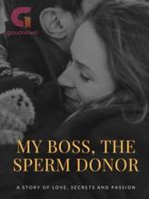 Novel My Boss, The Sperm Donor by Ilancka De Villiers