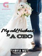 Novel My Cold Husband is A CEO by Shova Nst