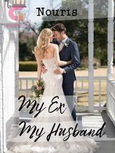 Novel My Ex My Husband by Its Me Nouris