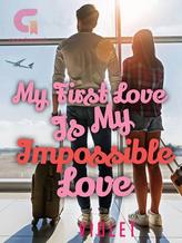 Novel My First Love Is My Impossible Love by Violet Evergarden