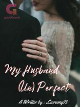 My Husband [un]Perfect