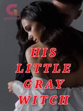 Novel My Little Gray Witch by Amarachukwu