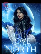 Novel My Love From The North by jengreyy