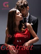 Novel My Marriage Is A Contract by Marvy