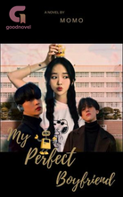 Novel My Perfect Boyfriend by MOMO