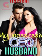 Novel My Possessive CEO Husband by Tessy