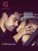 Novel My Unexpected Husband ( indonesia ) by Lailimanosa