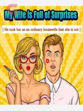 Novel My Wife Is Full Of Surprises by Zed Sinan