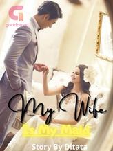 Novel My Wife Is My Maid by Ditata