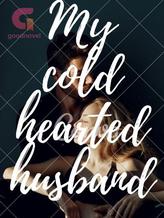 Novel My cold hearted husband by BS