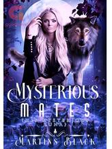 Novel Mysterious Mates by Martins Black